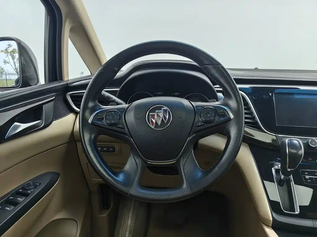 Buick GL8 — миниатюра 11