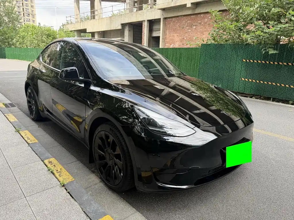 Tesla Model Y — миниатюра 3