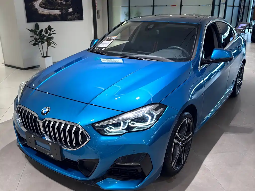 BMW 2 Series (Import) 225i 4-door Coupe M Sport Package, фото 18