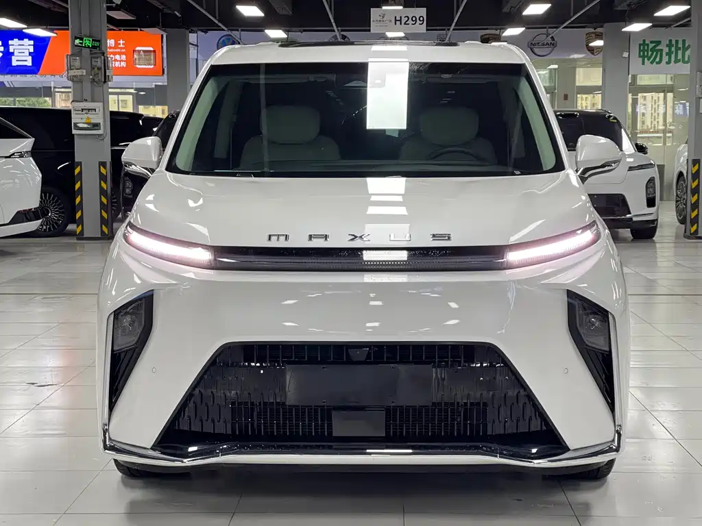 Maxus Dajia 9 — миниатюра 2