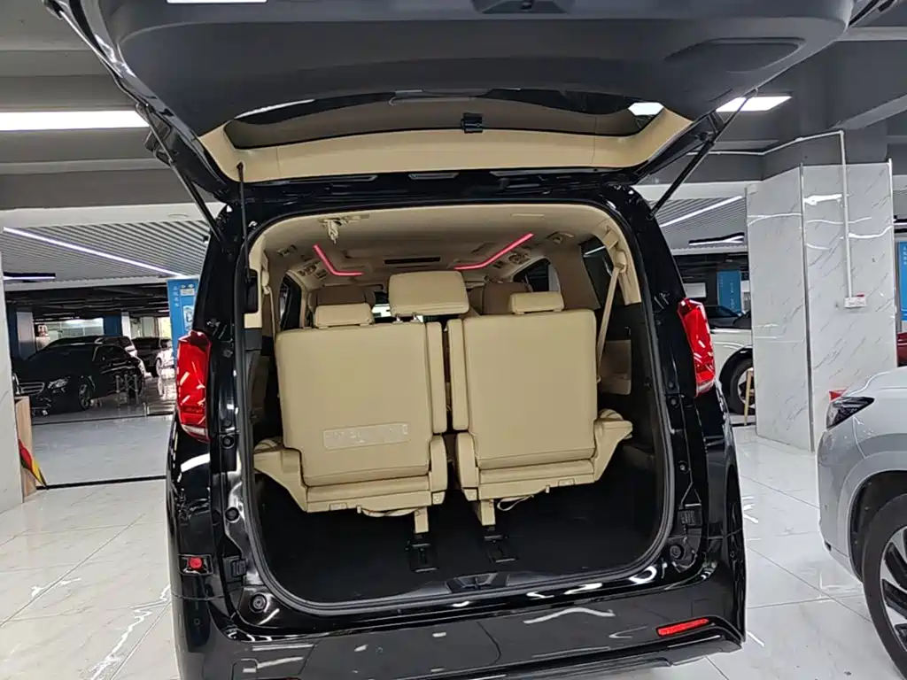 Toyota Alphard — миниатюра 19