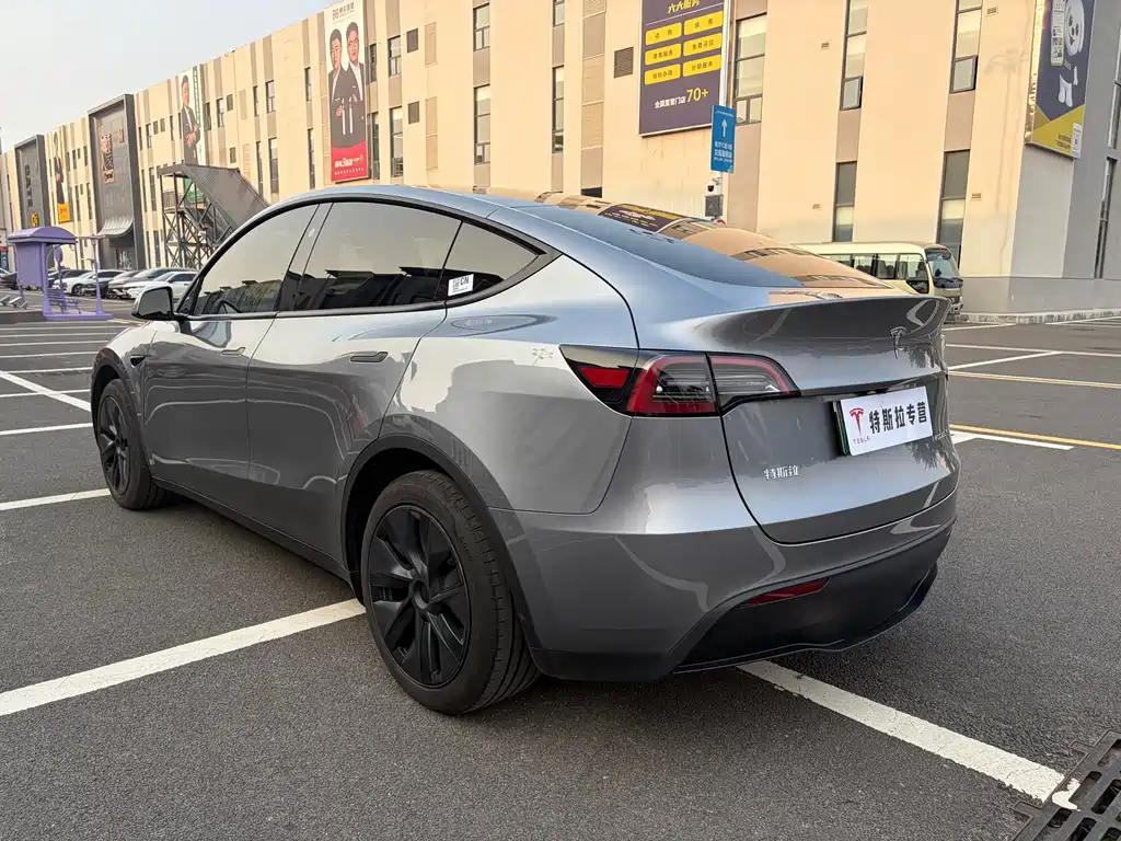 Tesla Model Y — миниатюра 4