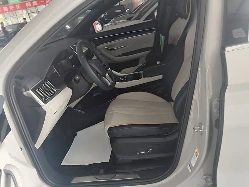 BYD PLUS New Energy — миниатюра 15