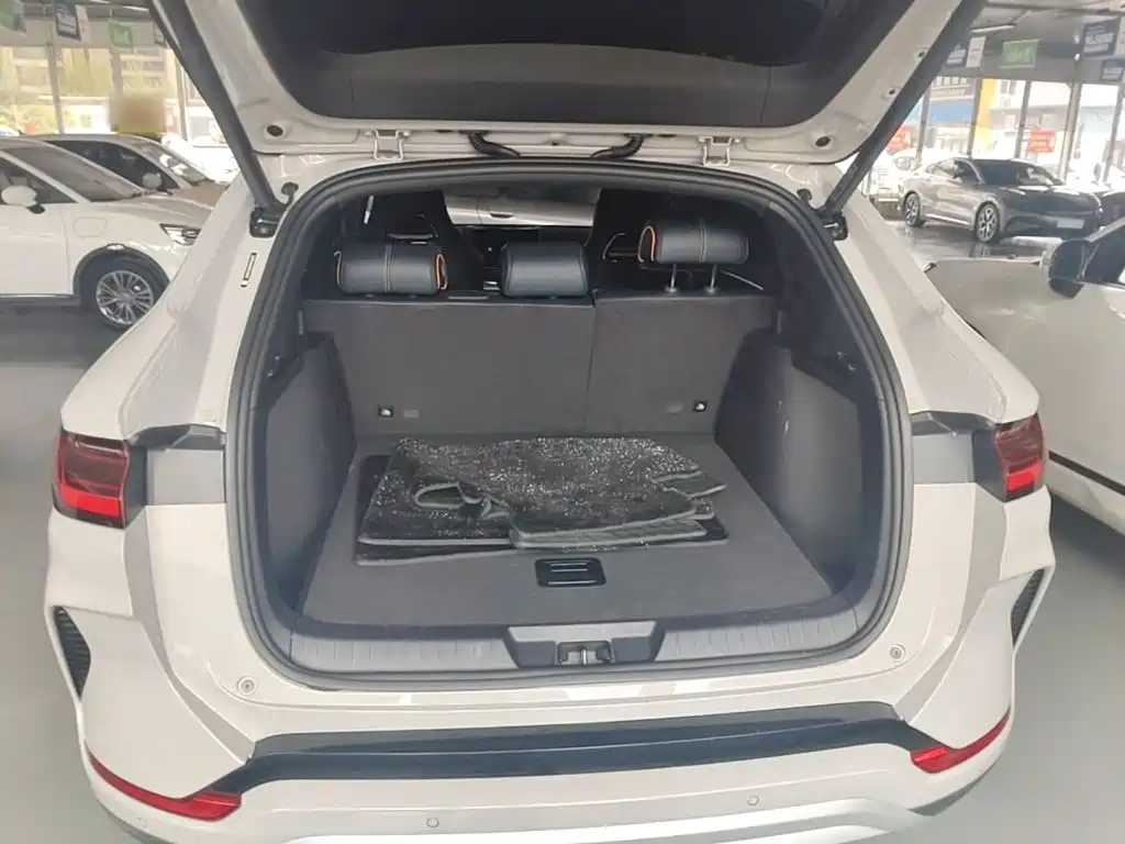 BYD PLUS New Energy — миниатюра 19