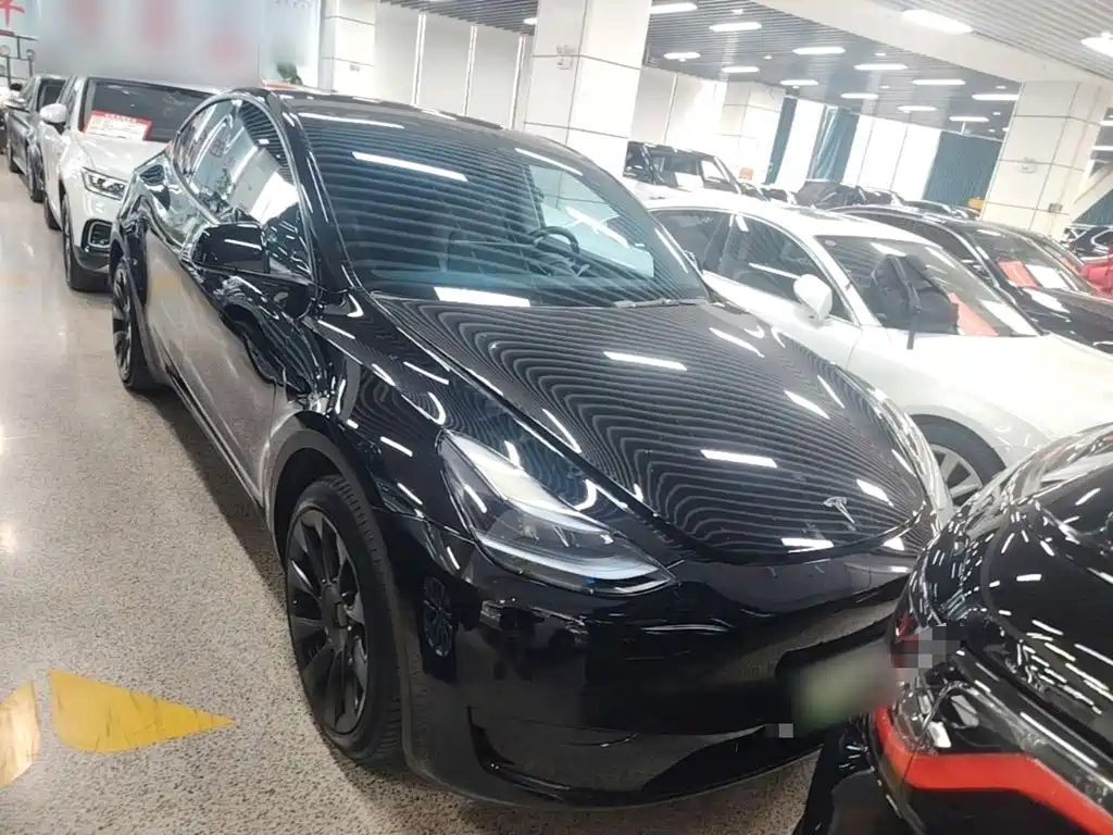 Tesla Model Y — миниатюра 3