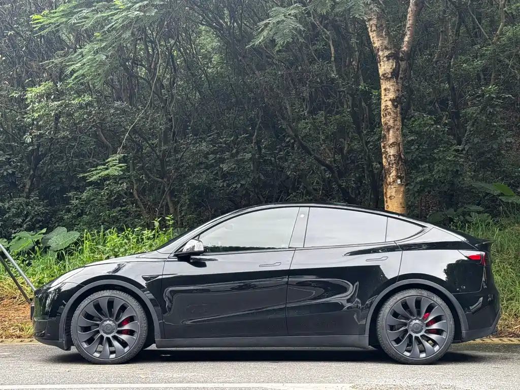 Tesla Model Y — миниатюра 5