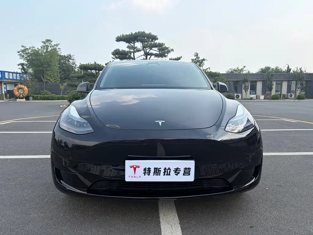 Tesla Model Y — миниатюра 2