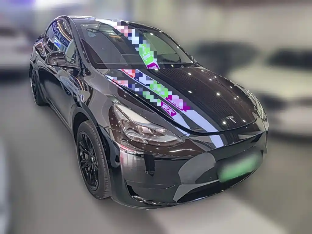 Tesla Model Y — миниатюра 6