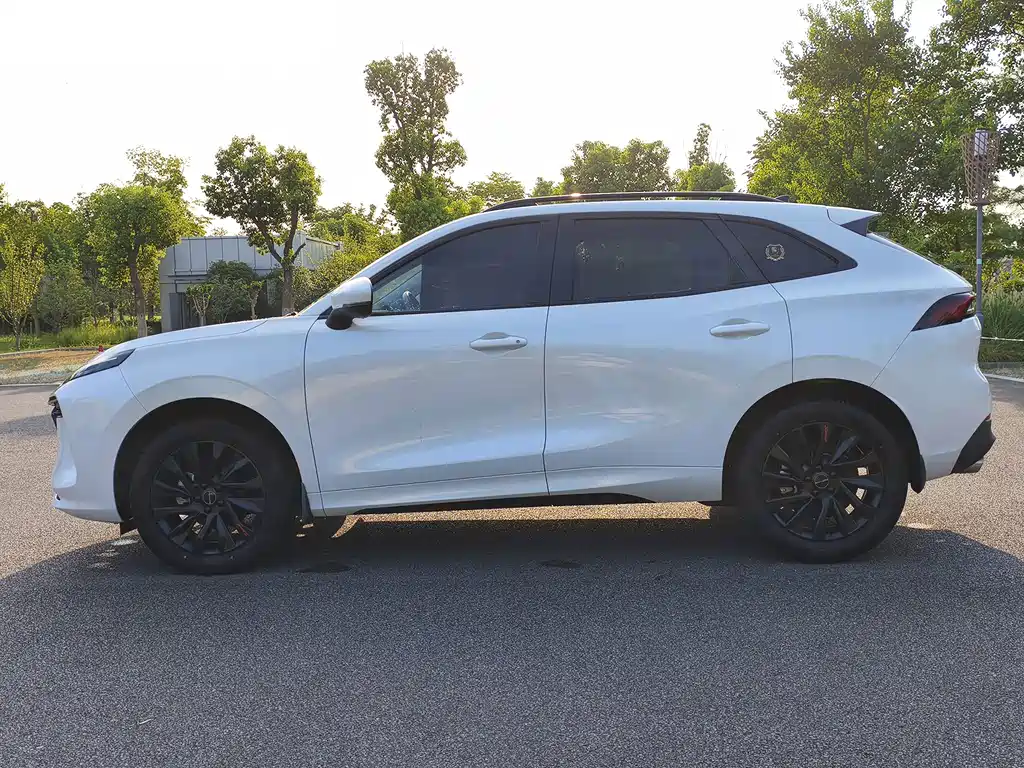 Fengxing Fengxing T5 EVO — миниатюра 14