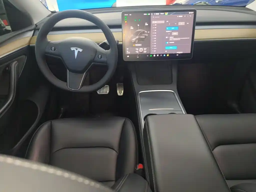 Tesla Model Y — миниатюра 10