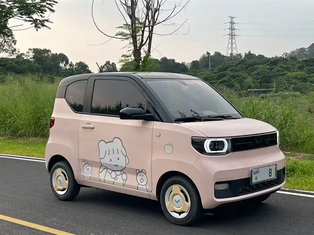 Wuling Mini EV MINIEV 2022 Enjoy