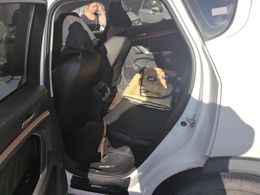 Haval H4 — миниатюра 11