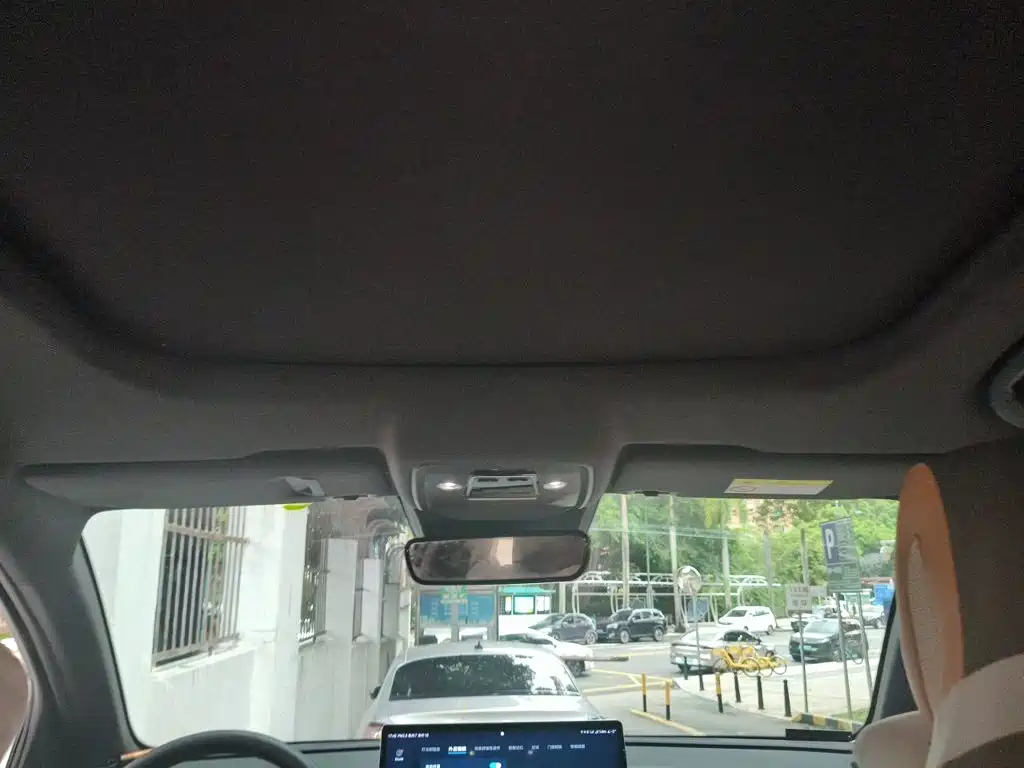BYD Pro New Energy — миниатюра 14