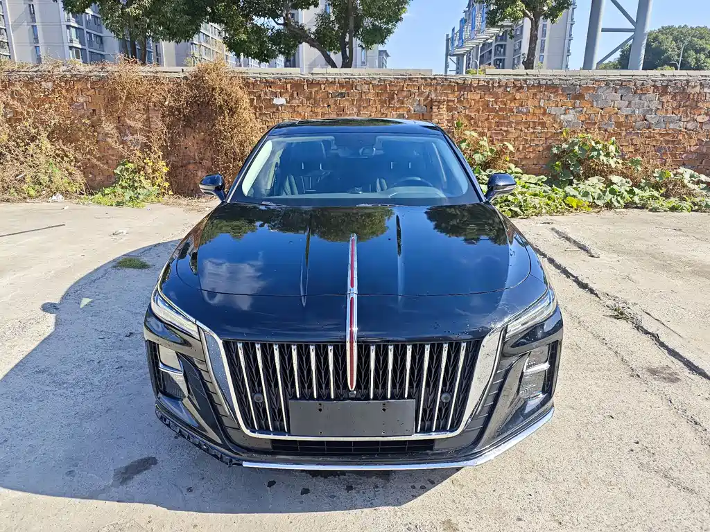 Hongqi Hongqi H5 2023