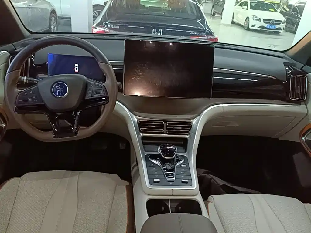 BYD Pro New Energy — миниатюра 10