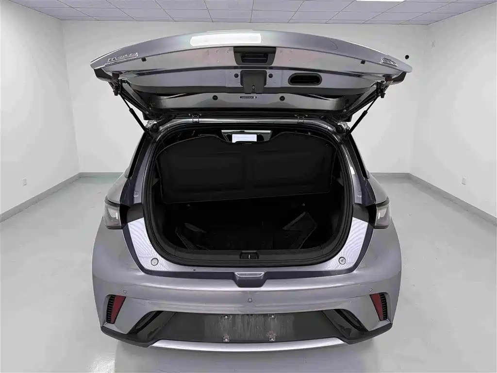 BYD Dolphin — миниатюра 19