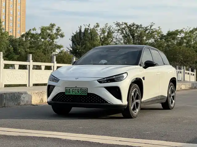 2024 Hozon Auto Neta L