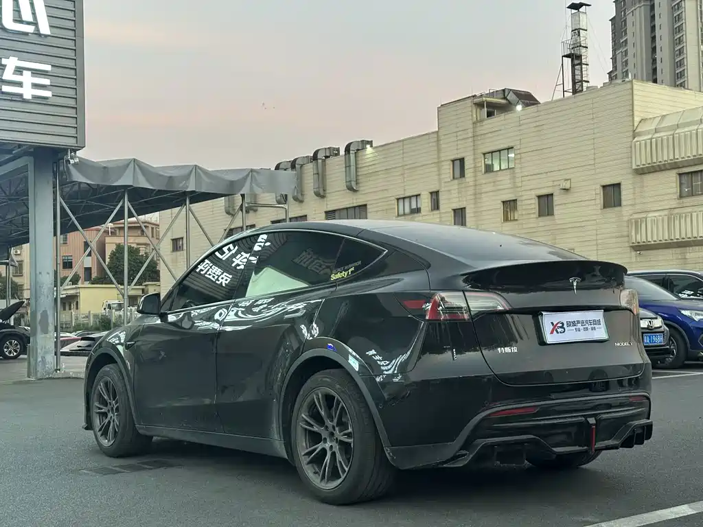 Tesla Model Y — миниатюра 6