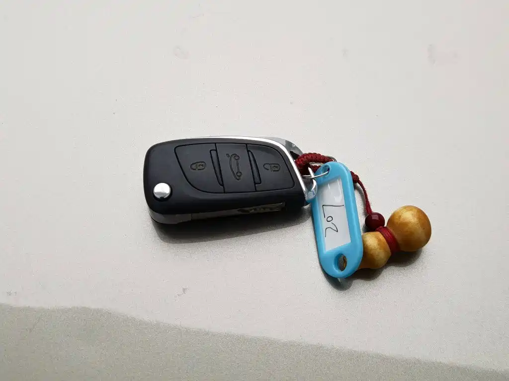 Citroen C5 — миниатюра 19
