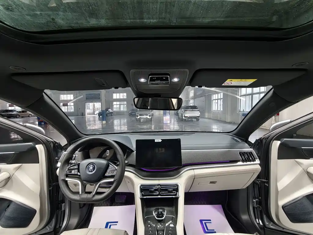 BYD PLUS New Energy — миниатюра 10
