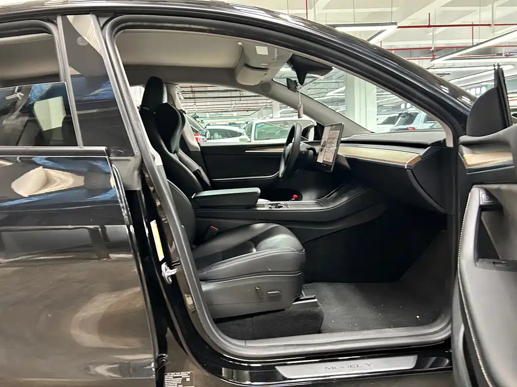 Tesla Model Y — миниатюра 7