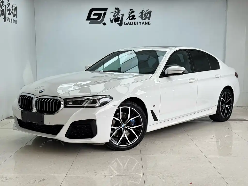 BMW 5 Series (Import)