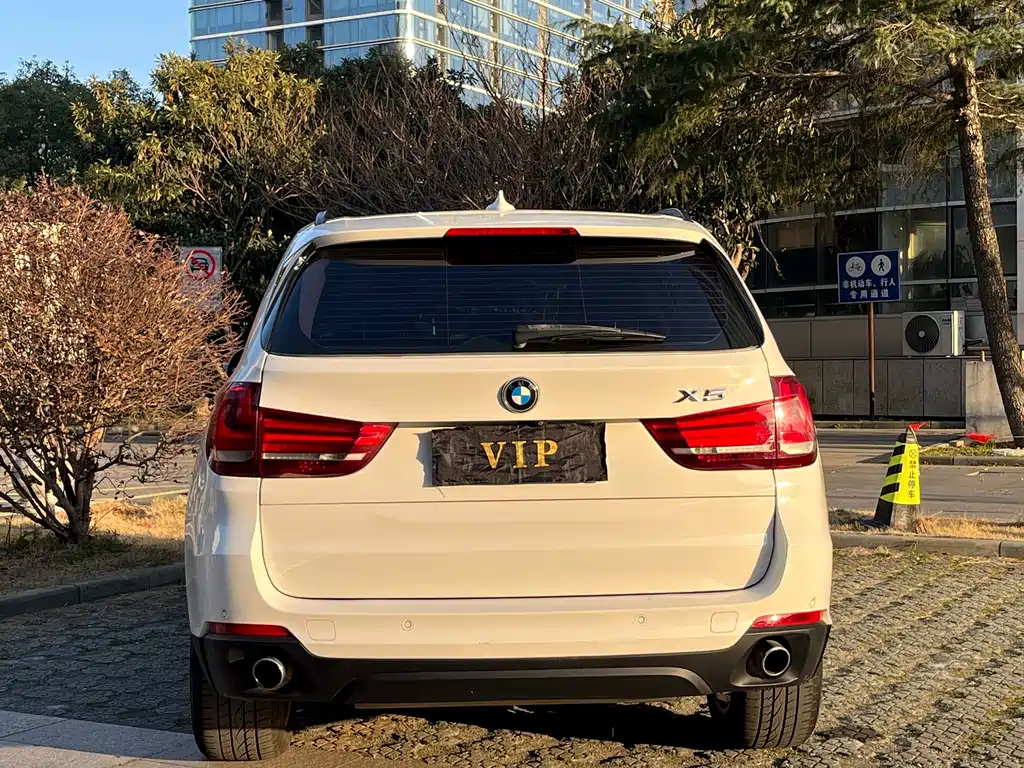 BMW X5 (Import) — миниатюра 12