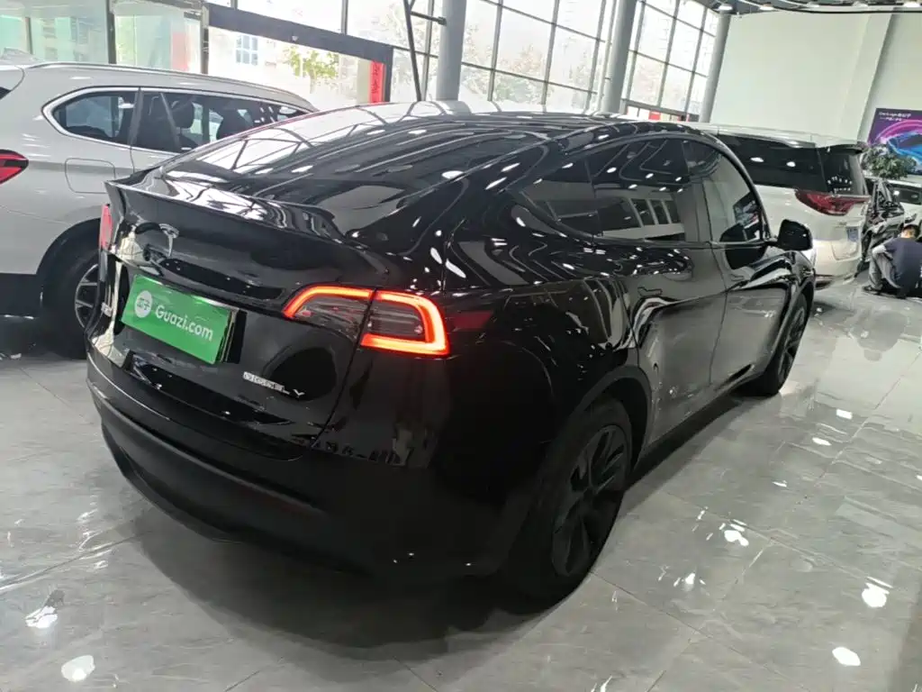 Tesla Model Y — миниатюра 7