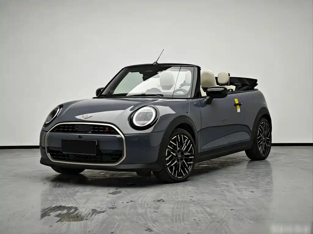 Mini Mini 2025