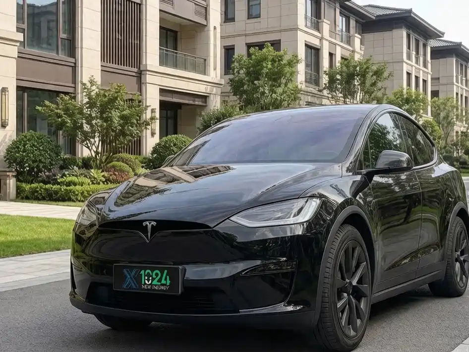 Tesla Model X — миниатюра 12