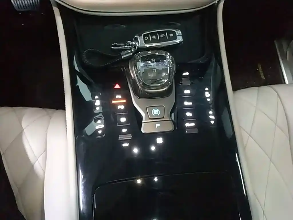 Denza Denza D9 — миниатюра 14