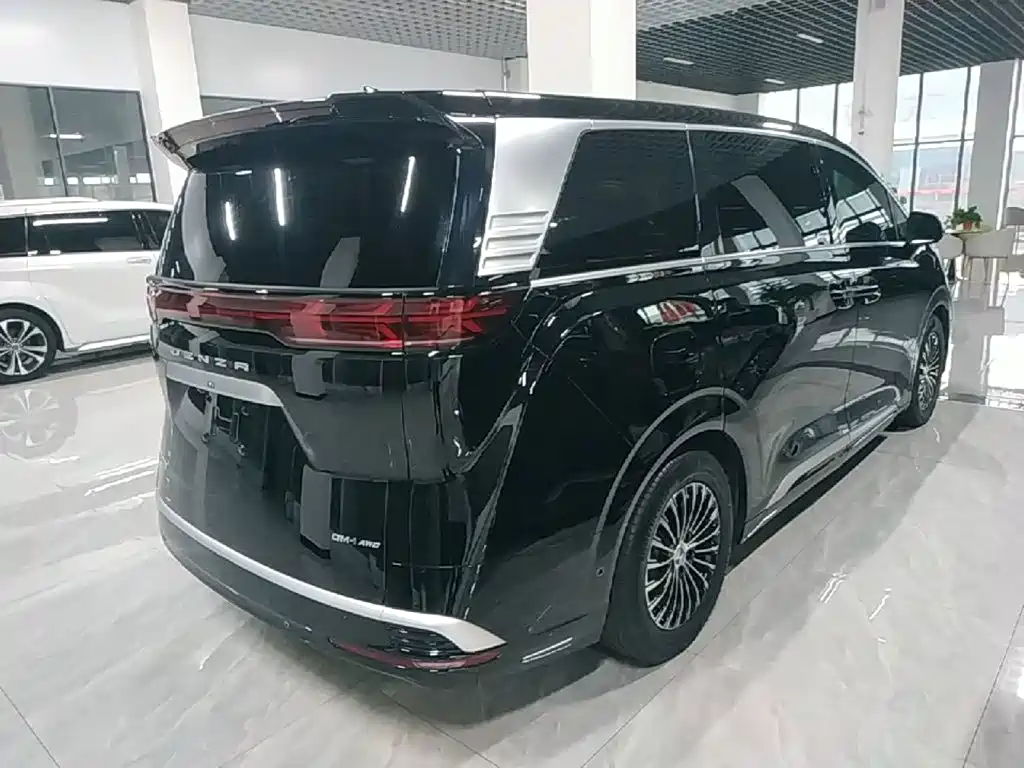 Denza Denza D9 — миниатюра 7