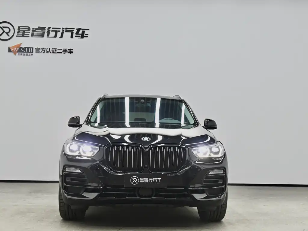 BMW X5 (Import) — миниатюра 2