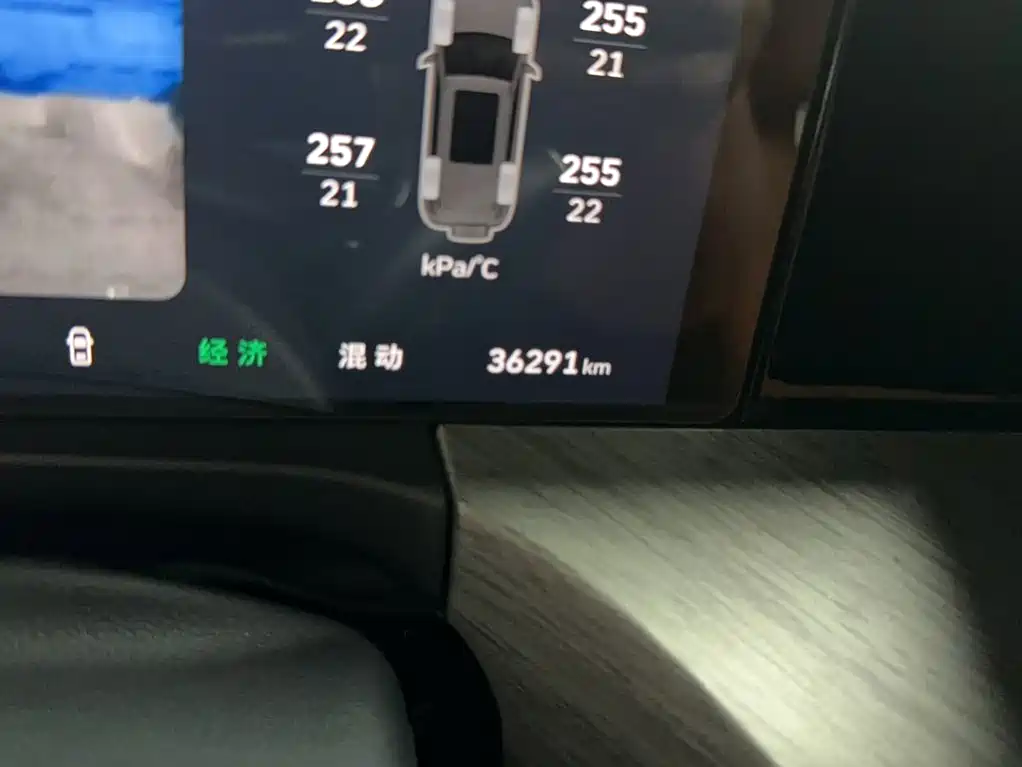 Tank Tank 500 New Energy — миниатюра 4