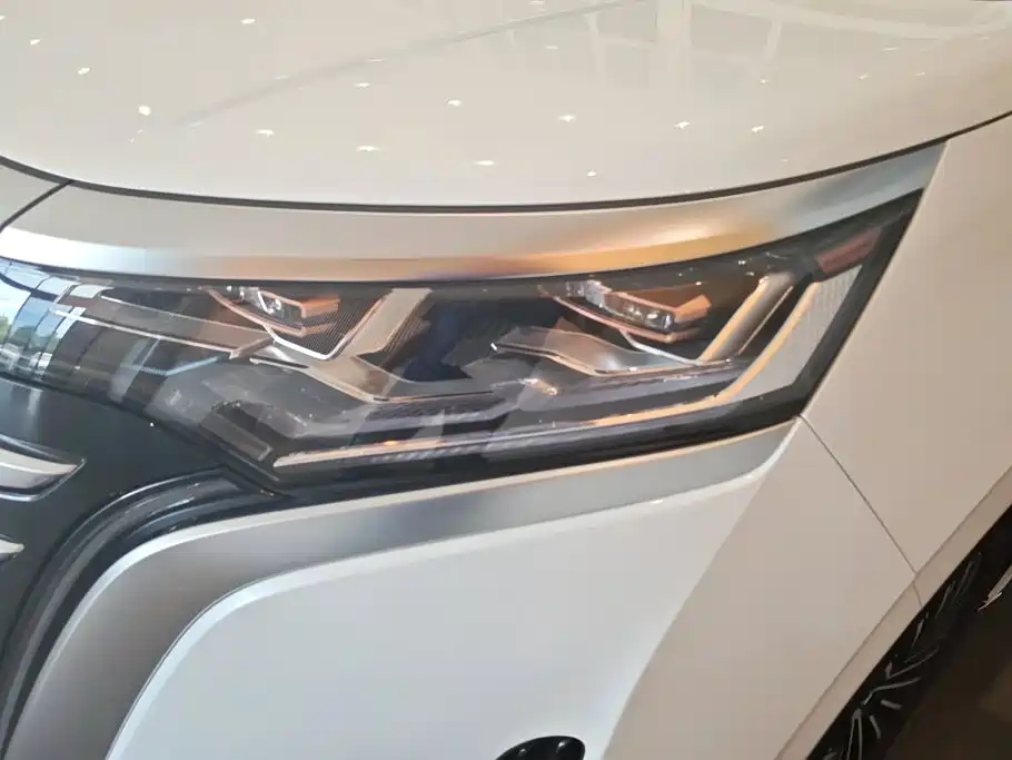 Denza Denza D9 — миниатюра 5