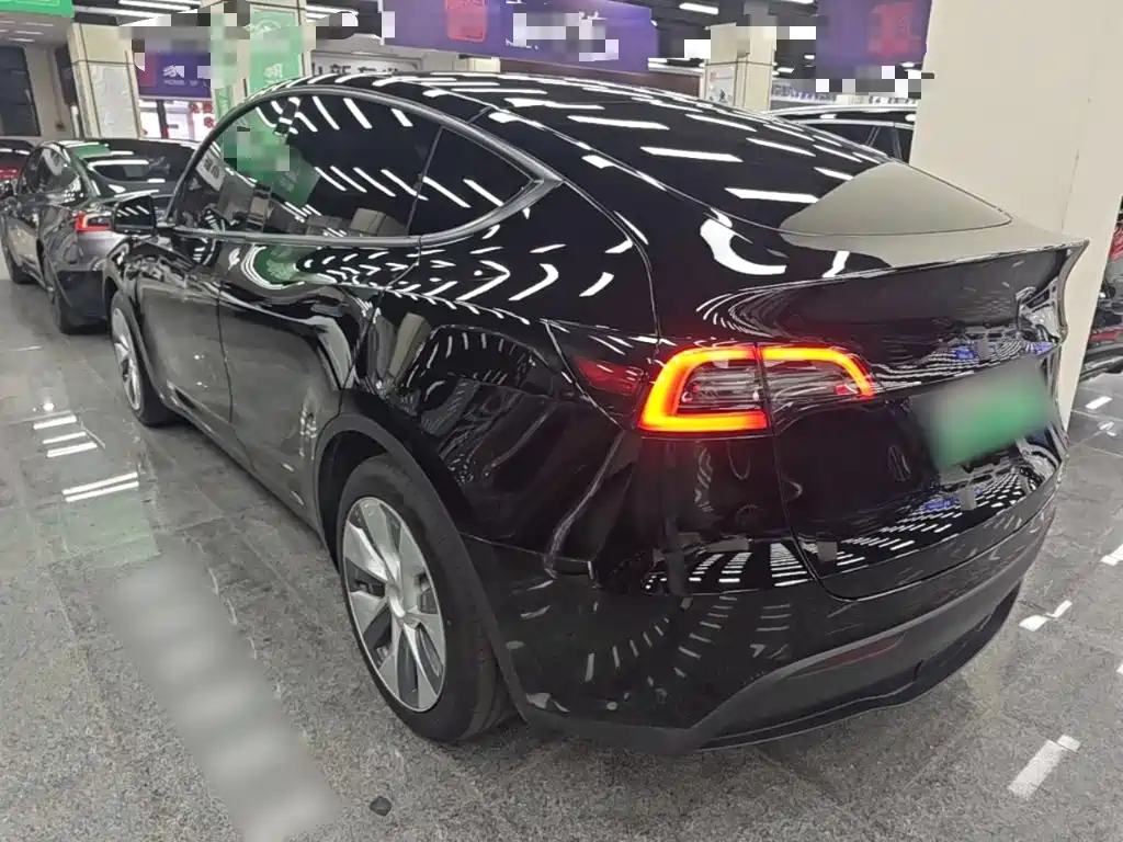 Tesla Model Y — миниатюра 5