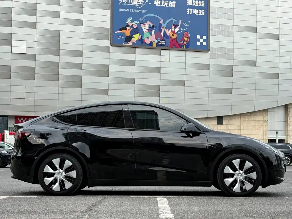 Tesla Model Y — миниатюра 4