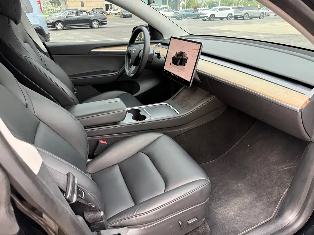 Tesla Model Y — миниатюра 11
