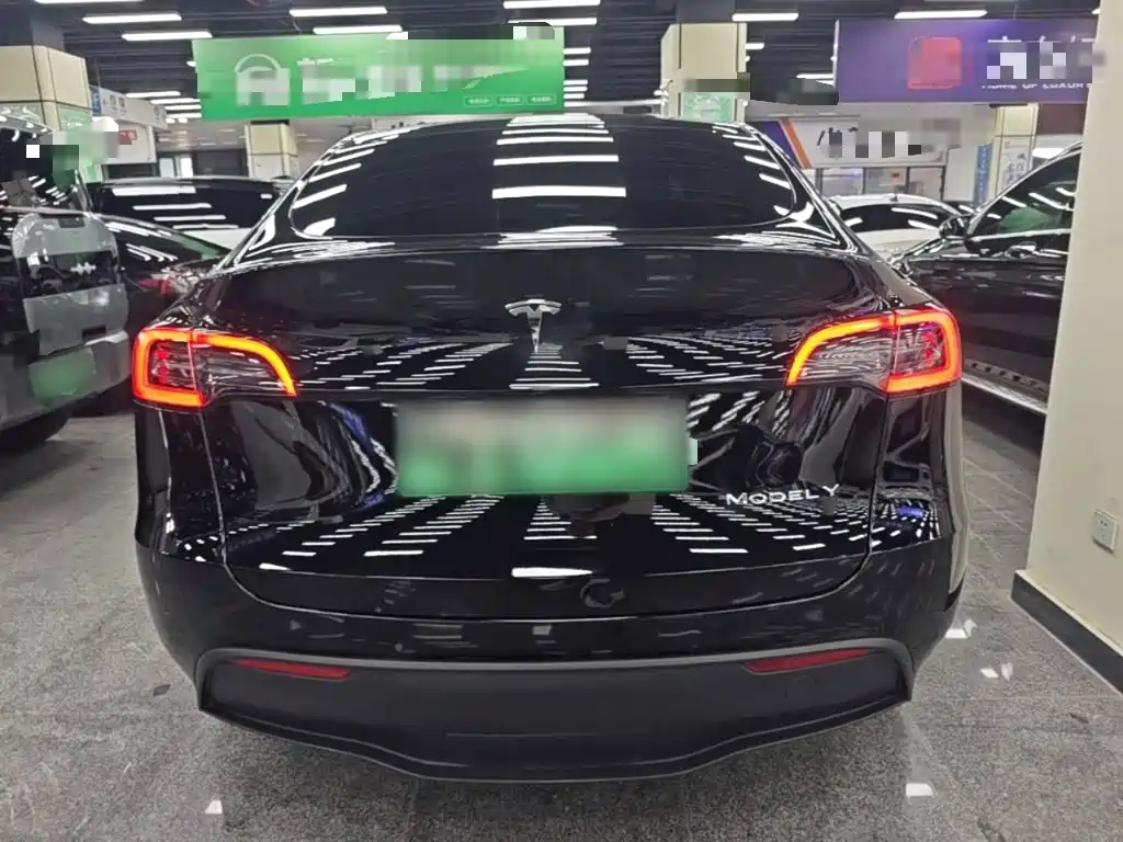Tesla Model Y — миниатюра 6