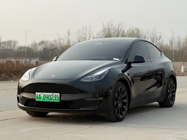 TESLA MODEL Y 2021
