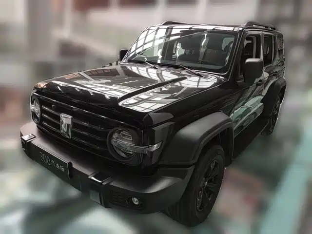 2022 TANK 300