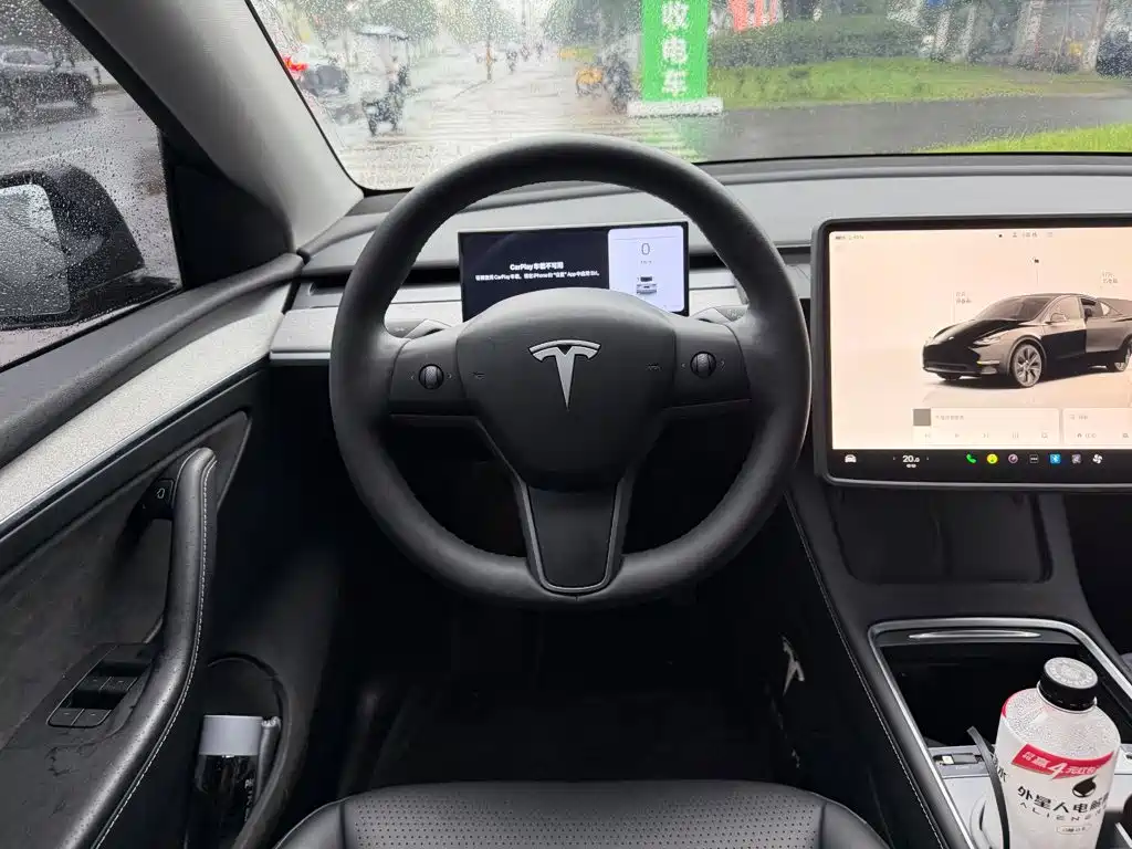 Tesla Model Y — миниатюра 14