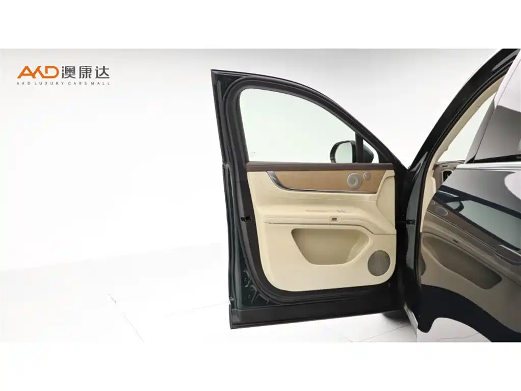 AITO Wenjie AITO M9 — миниатюра 11