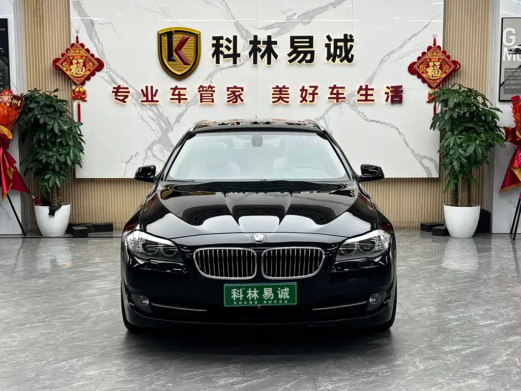 BMW 5 Series (Import) — миниатюра 2