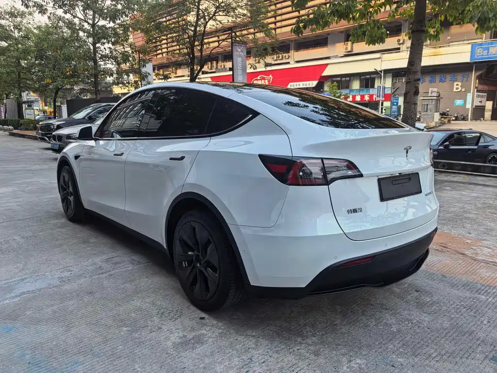 Tesla Model Y — миниатюра 7