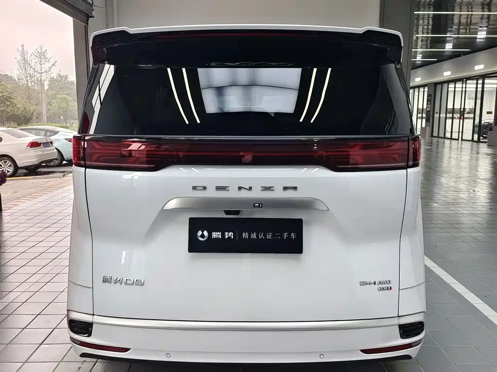 Denza Denza D9 — миниатюра 10