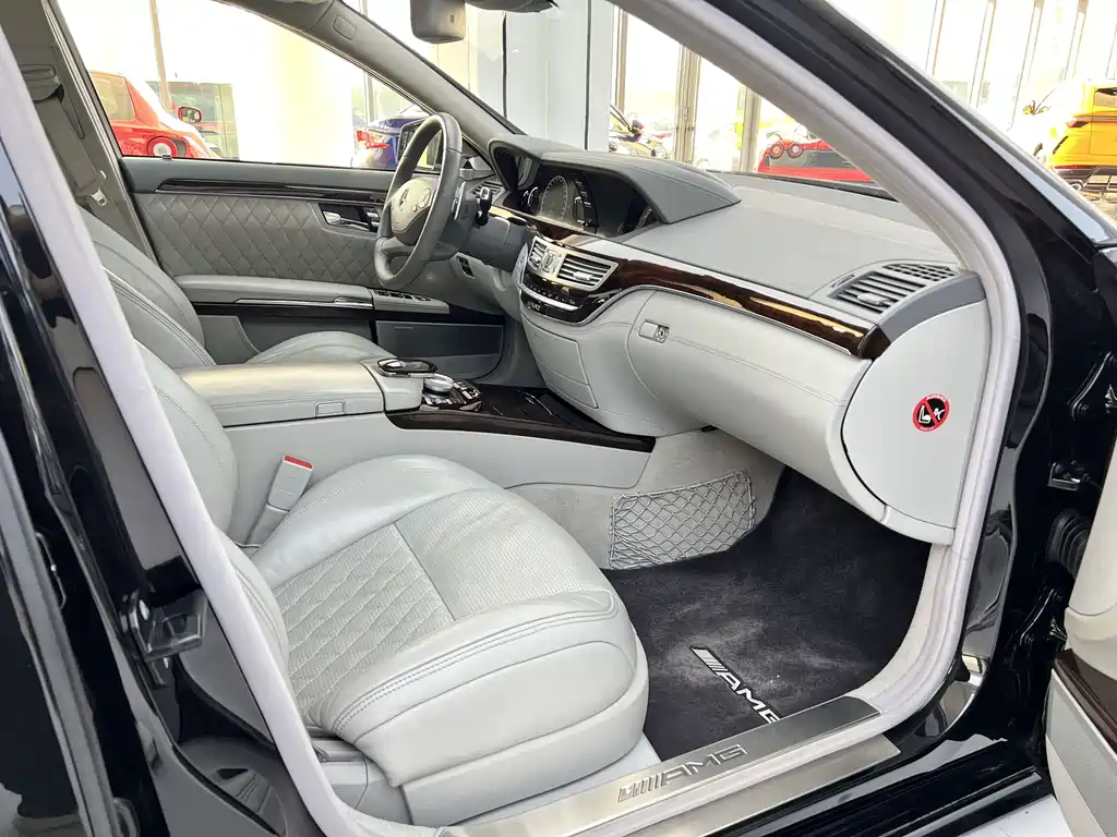 Mercedes-Benz S-Class AMG AMG S 65, фото 30