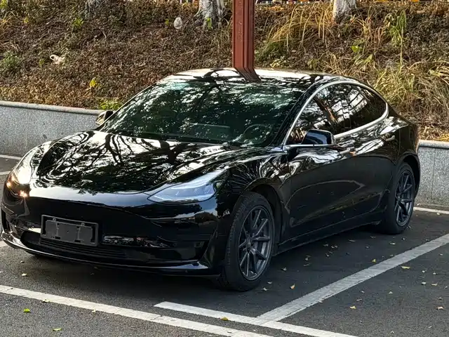 TESLA MODEL 3 2020
