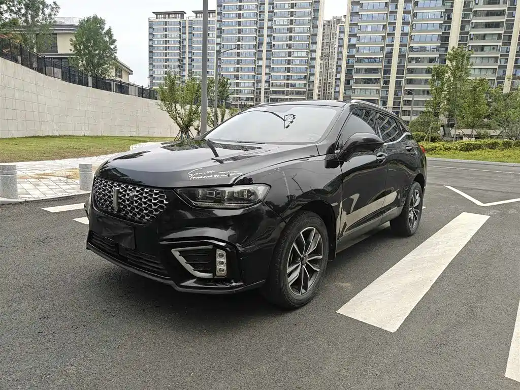 Wey Wey VV5 2021