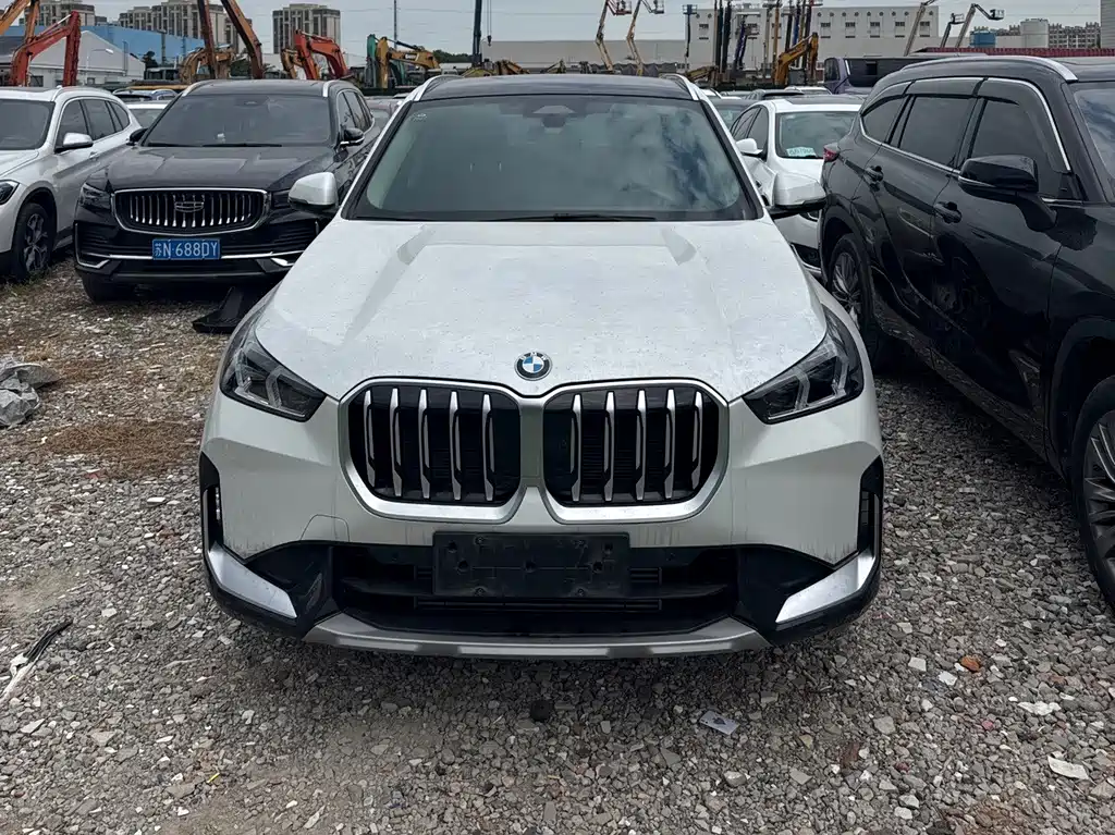 BMW X1 — миниатюра 2